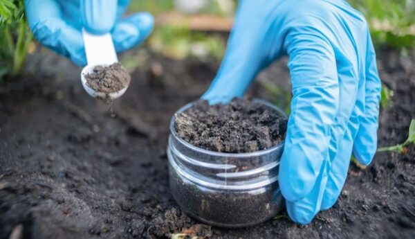 छात्रों को मिलेगा प्रैक्टिकल ज्ञान, समस्तीपुर के पांच स्कूलों में स्थापित होगी मिट्टी जांच लैब