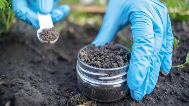 छात्रों को मिलेगा प्रैक्टिकल ज्ञान, समस्तीपुर के पांच स्कूलों में स्थापित होगी मिट्टी जांच लैब