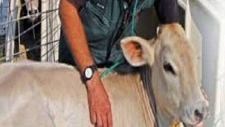 समस्तीपुर में पशुओं की नस्ल में सुधार के लिए विभाग की बड़ी पहल, खुलेंगे आठ नए पशु अस्पताल