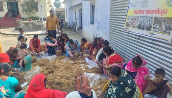 समस्तीपुर में मशरूम की खेती से जीविका दीदियां बनीं आत्मनिर्भर, हर महीने 10 से 15 हजार रुपये की कर रही कमाई